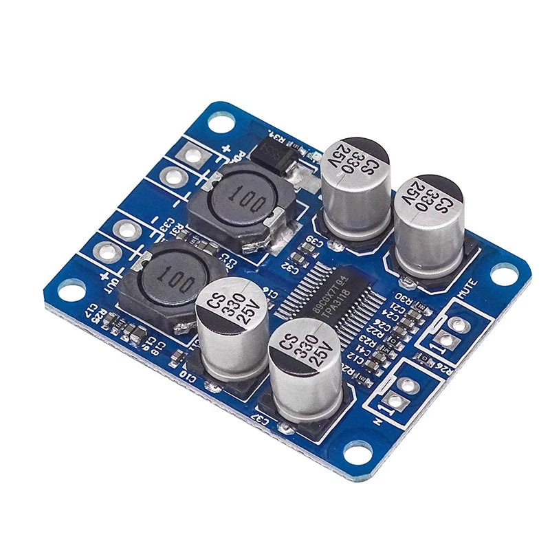 DC 8V-24V TPA3118 60W Mono Digital Audio Power Amplifier Board Amp Module For Arduino