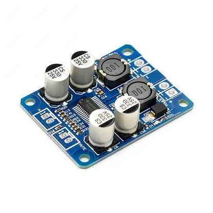 TPA3118 PBTL mono digital amplifier board 10W 30W 60W 12V 24V POWER AMP
